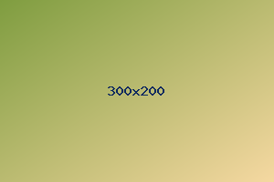 300x200 example